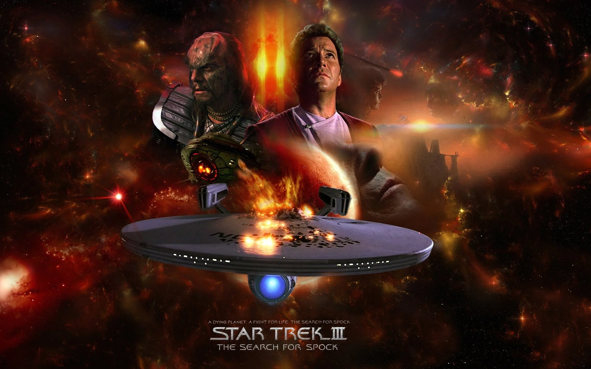video-section-banner-image